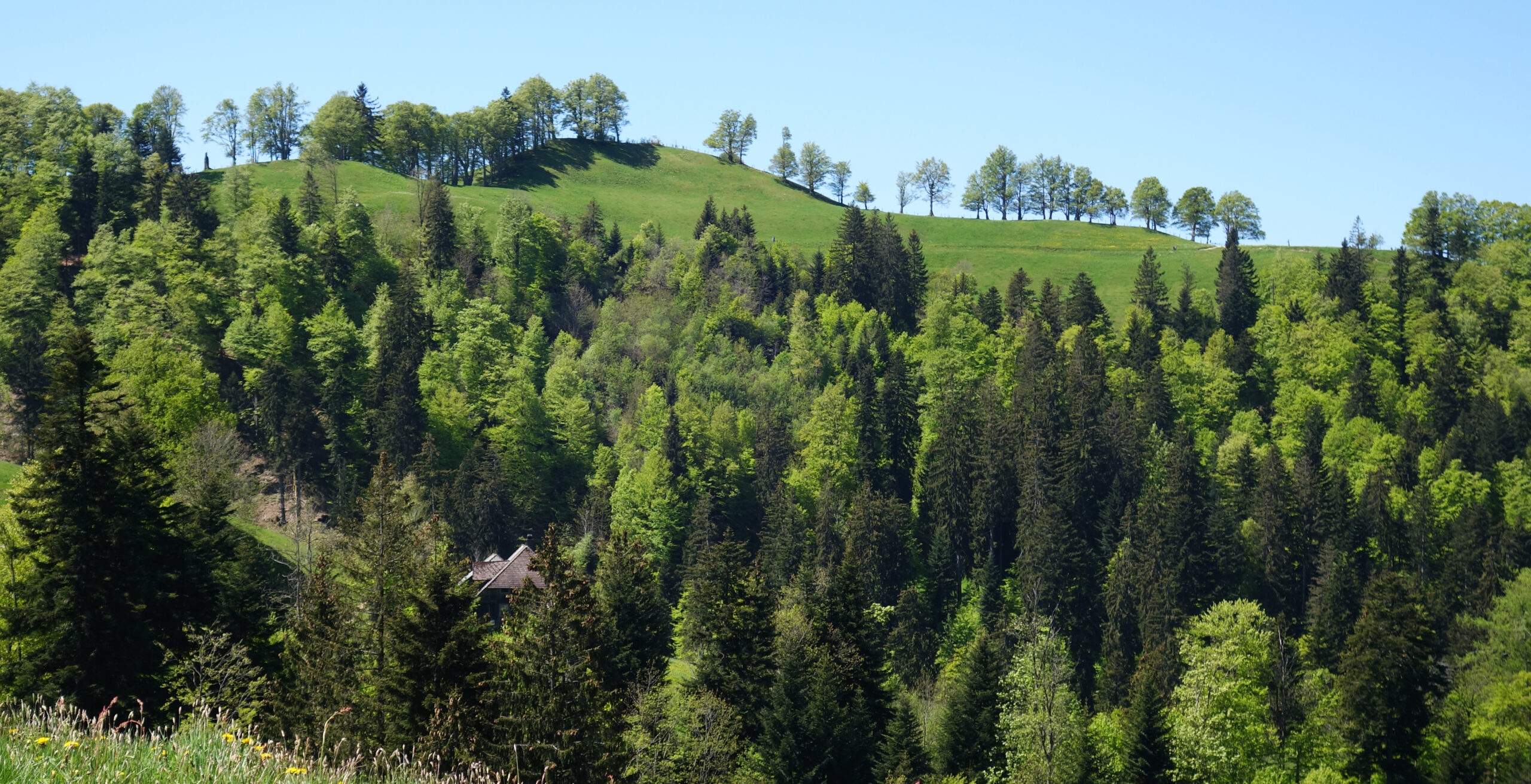 Intakte Natur rund um Luthern